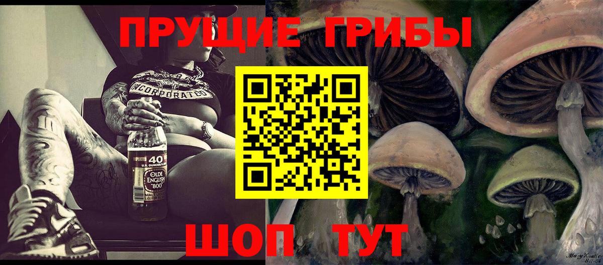 Псилоцибиновые грибы Psilocybe  Вход с VPN  Галлюциногенные грибы мицелий  Михайловск 